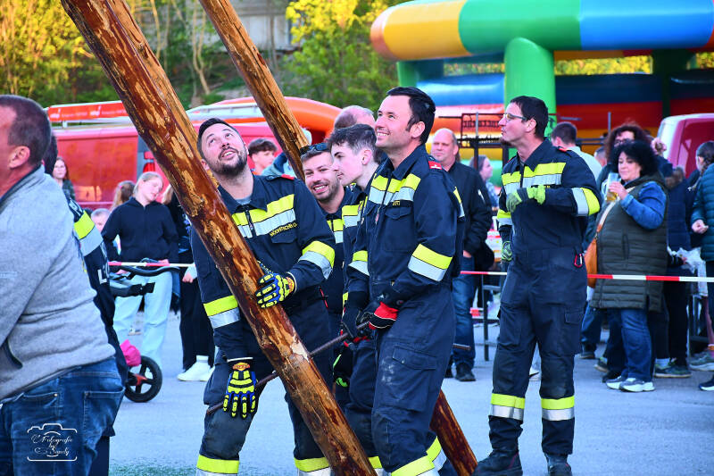 maibaum-123-standard-phir8n.jpg