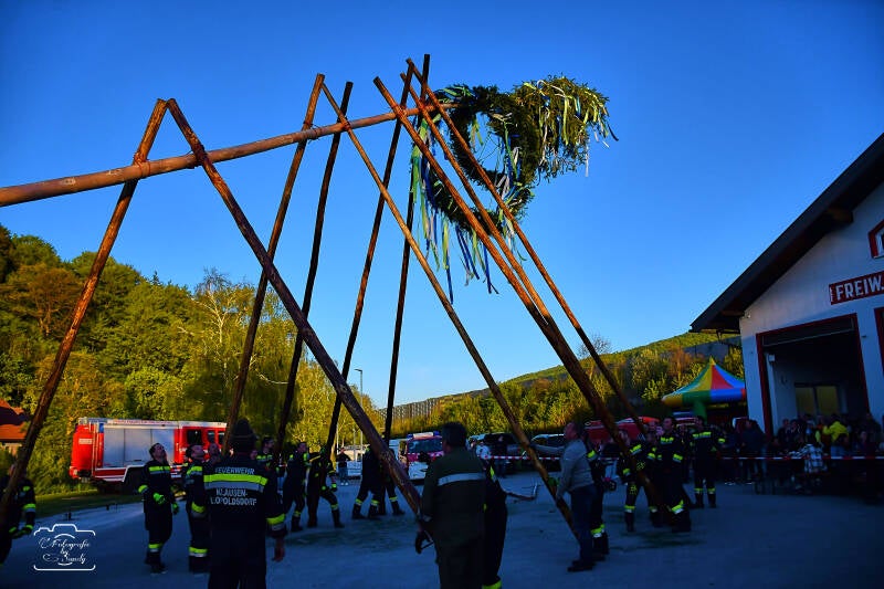 maibaum-124-standard-lohjet.jpg