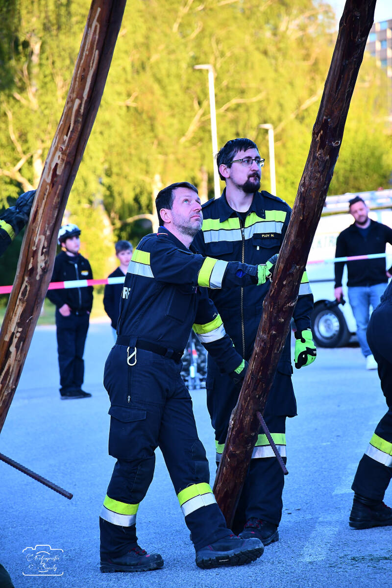 maibaum-126-standard-pxpqza.jpg