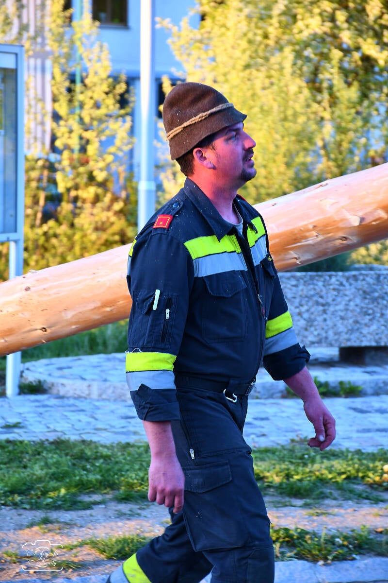maibaum-127-standard-hzwdit.jpg