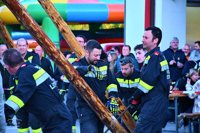 maibaum-129-standard-u6llnl.jpg