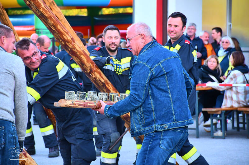 maibaum-131-standard-9vcnu2.jpg