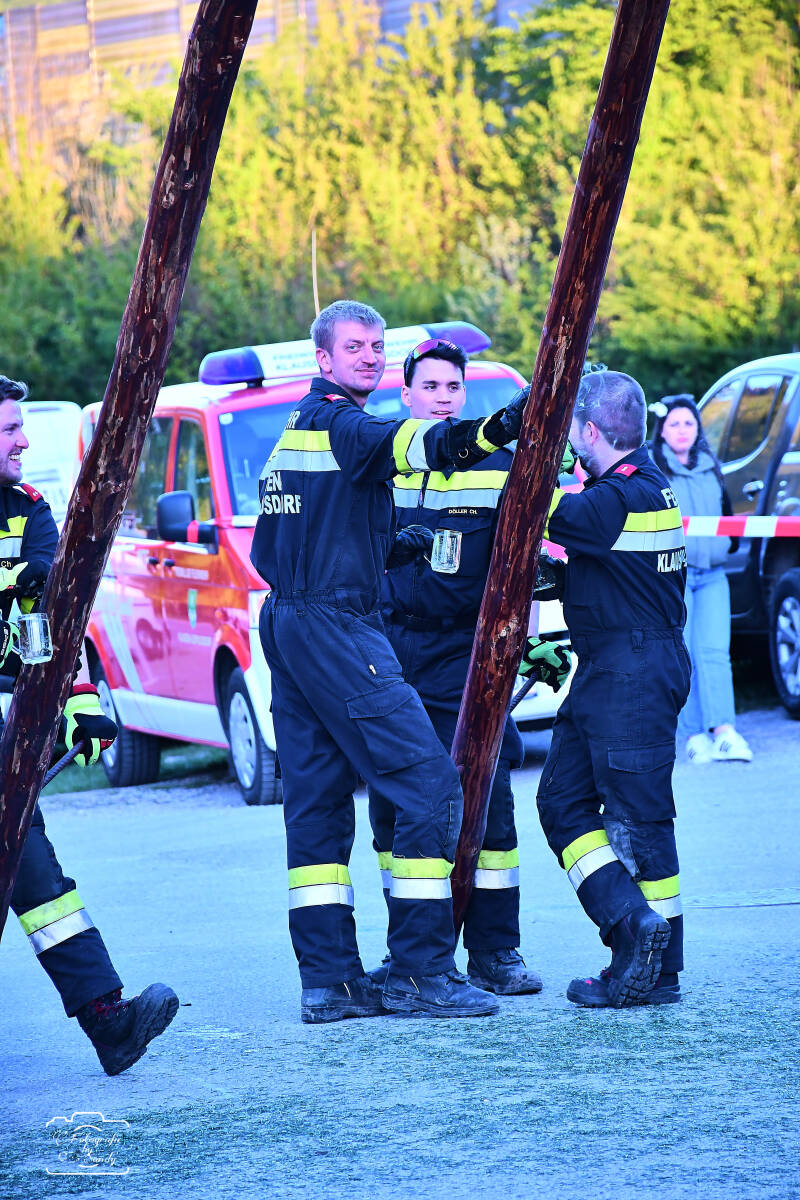 maibaum-133-standard-s9d90z.jpg