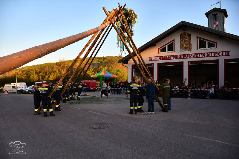 maibaum-135-standard-ffiigb.jpg