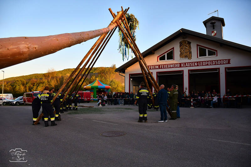 maibaum-136-standard-lwe6d5.jpg