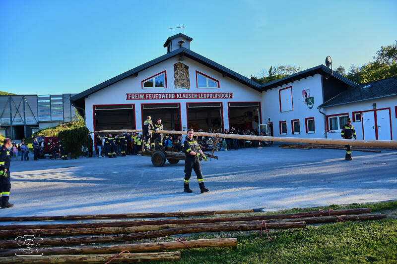 maibaum-14-standard-xu4q6o.jpg