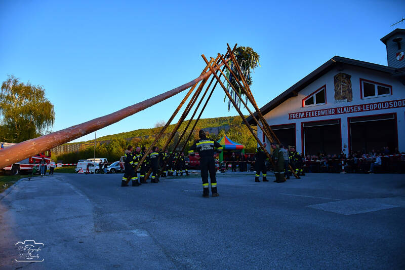 maibaum-140-standard-szksut.jpg
