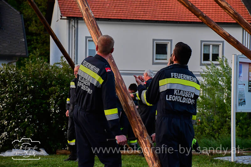maibaum-140-standard.jpg