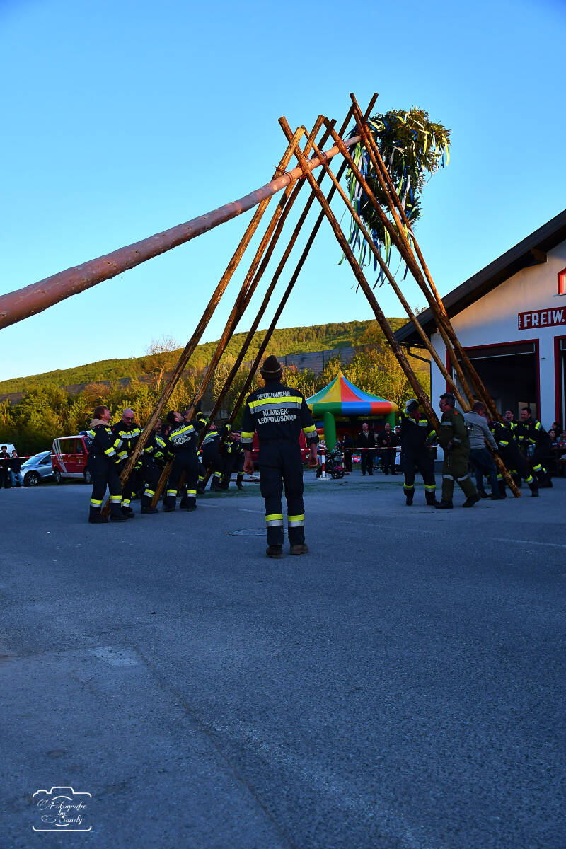 maibaum-141-standard-nrxesg.jpg