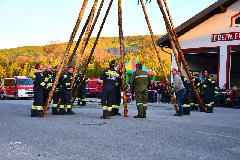 maibaum-142-standard-gojkkh.jpg