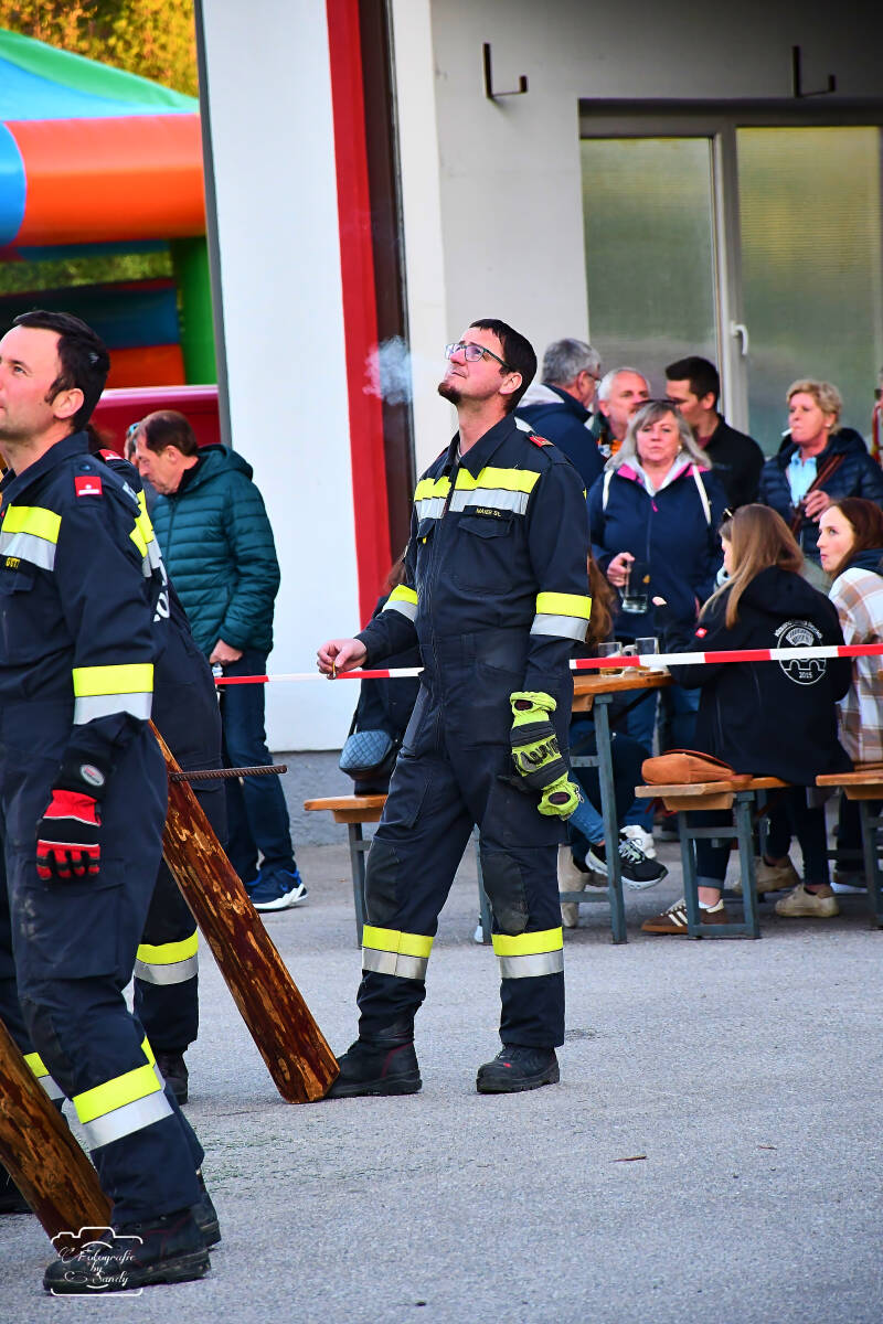 maibaum-145-standard-fqjvlu.jpg