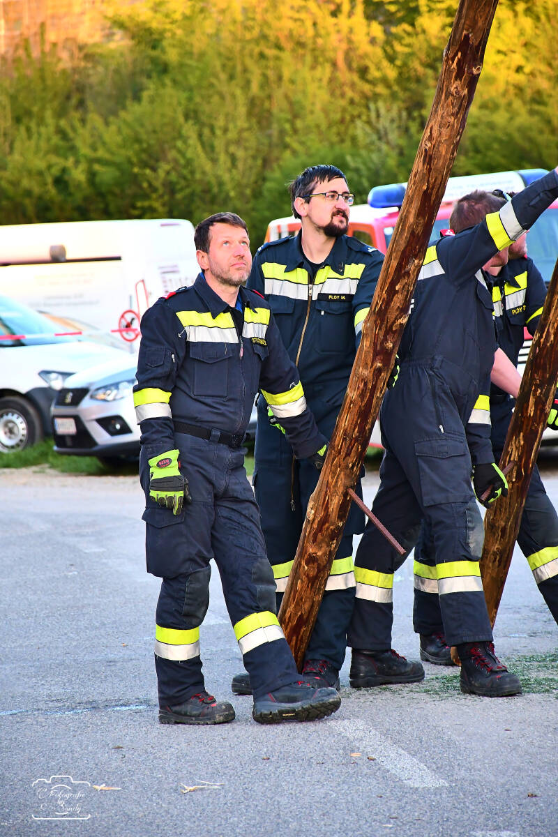 maibaum-146-standard-6btj5f.jpg