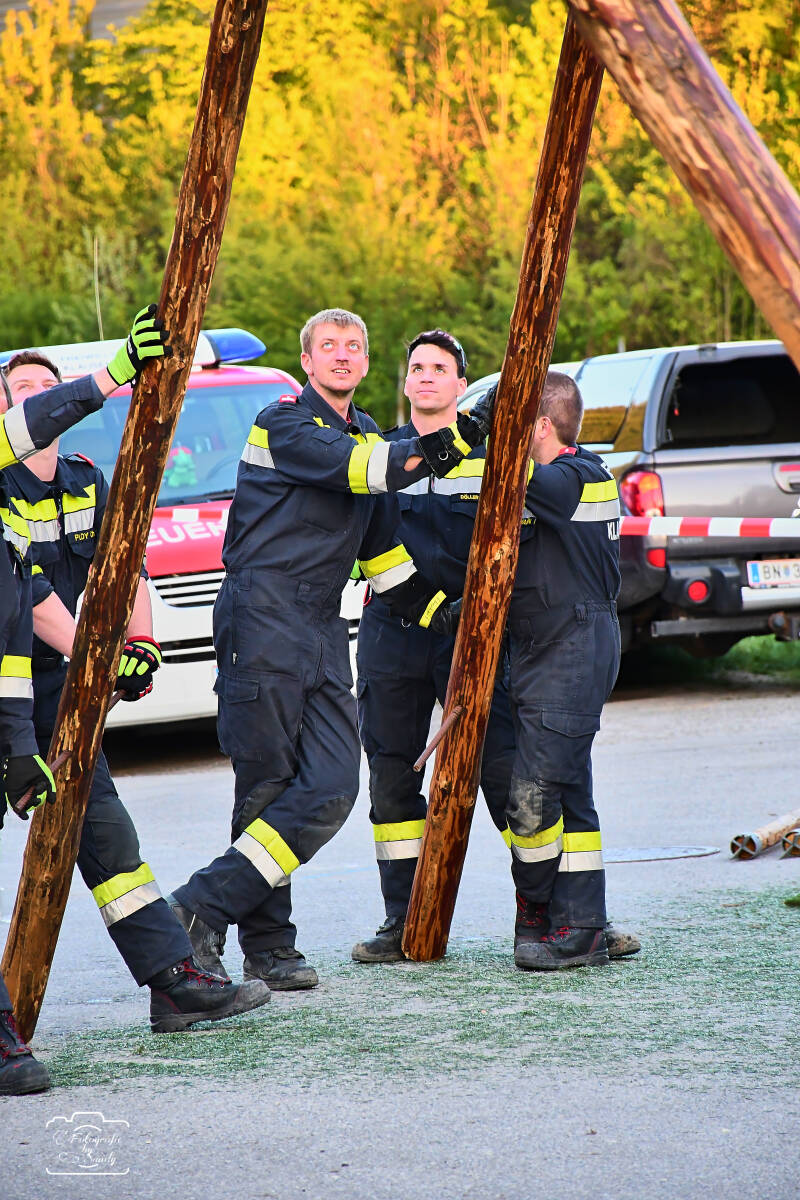 maibaum-147-standard-jy0tin.jpg