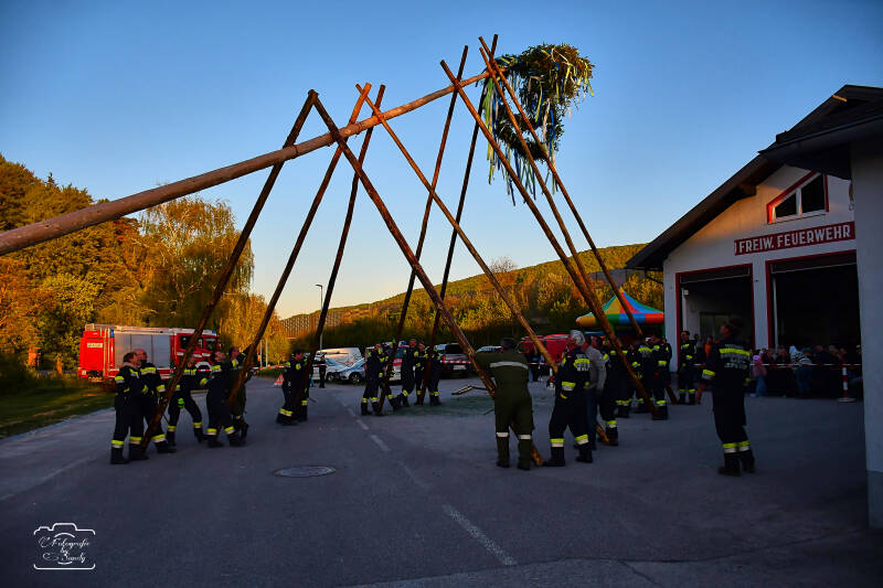 maibaum-148-standard-gtumda.jpg