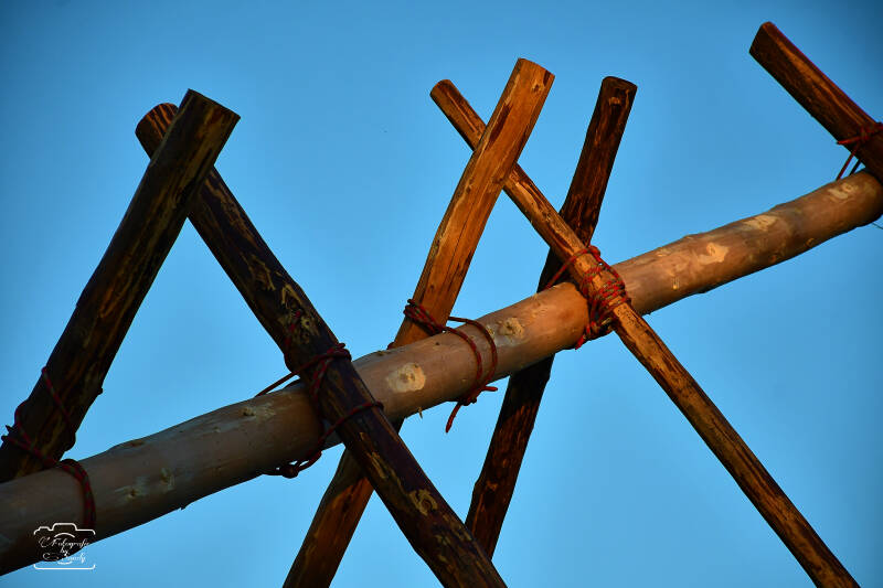 maibaum-150-standard-0h8hfk.jpg