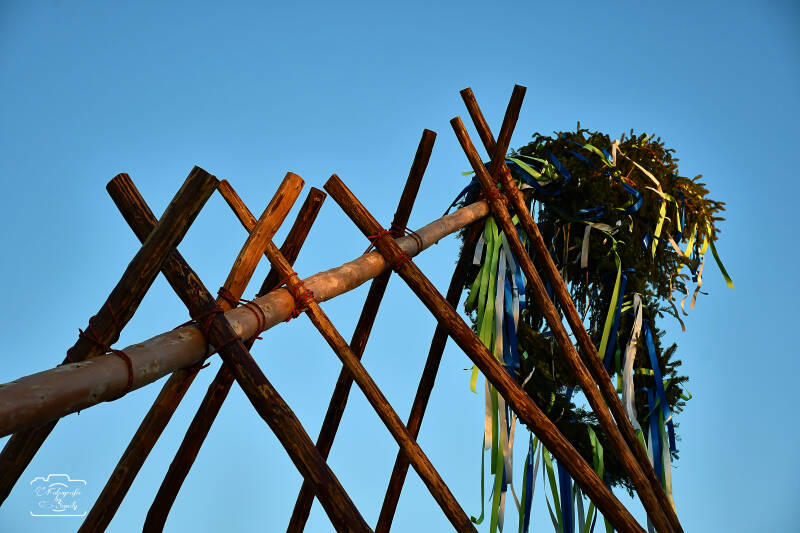 maibaum-151-standard-j306xx.jpg