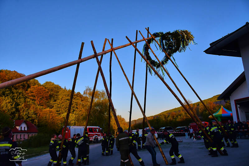 maibaum-152-standard-t6oh8q.jpg