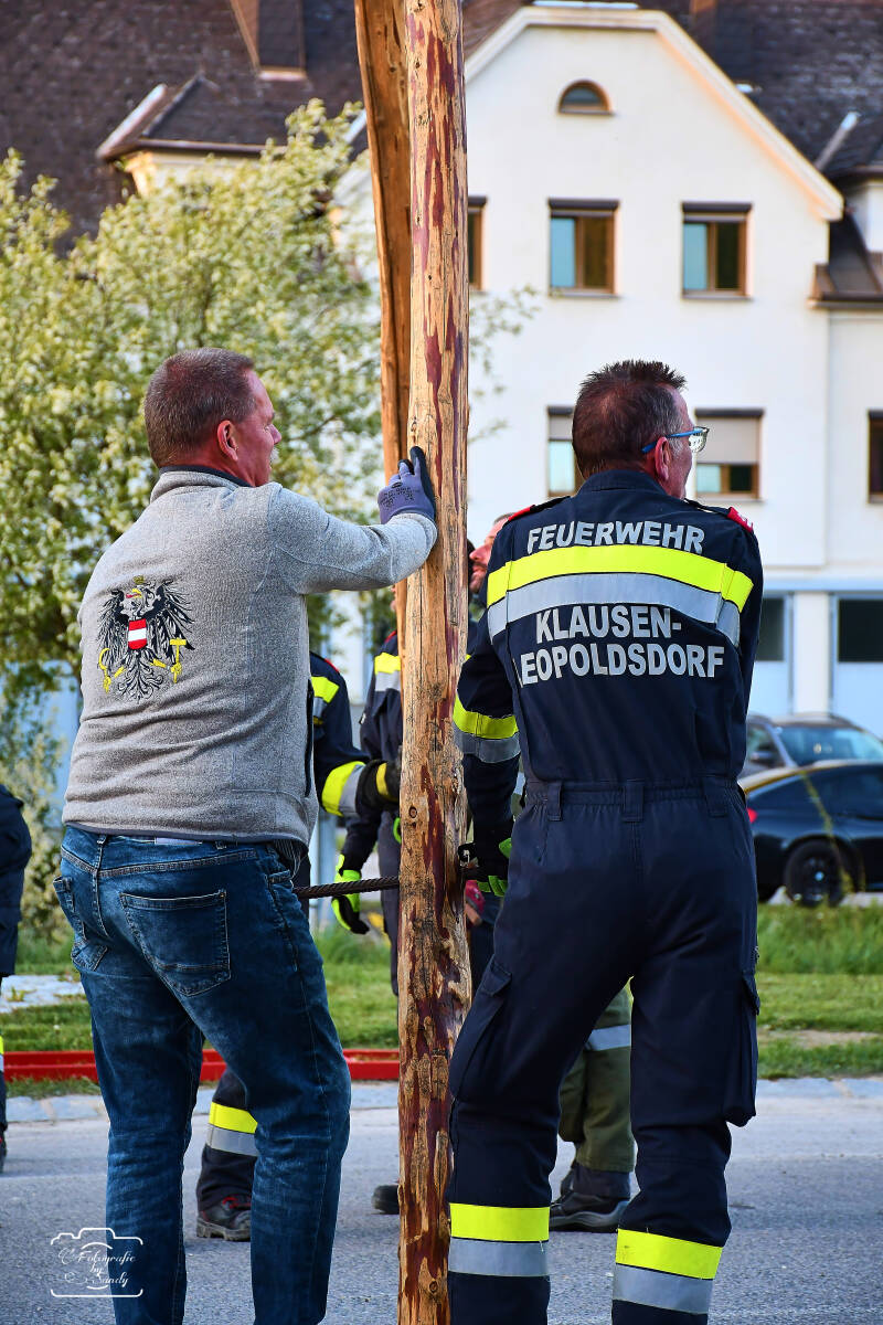 maibaum-153-standard-flzteg.jpg