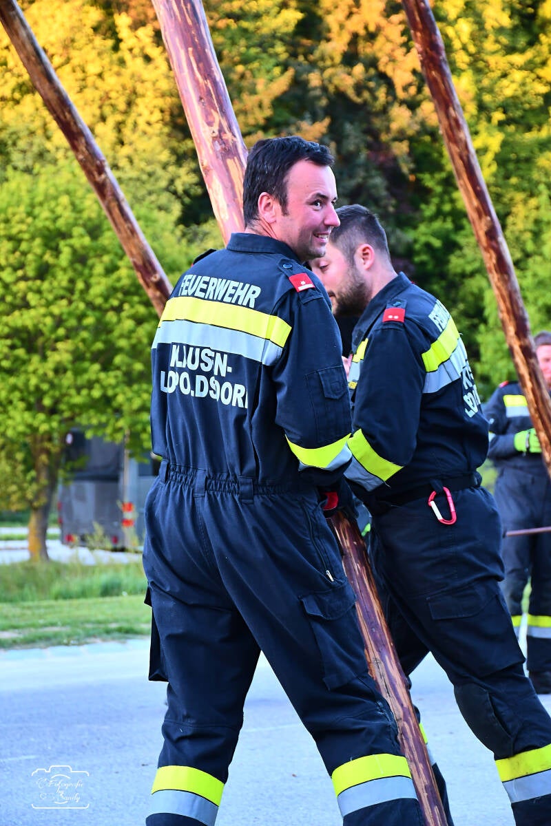 maibaum-154-standard-f3aq2y.jpg
