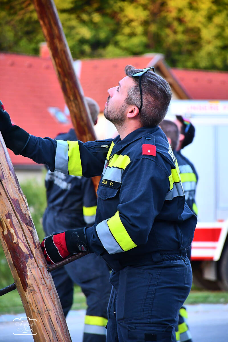maibaum-155-standard-jil3wy.jpg