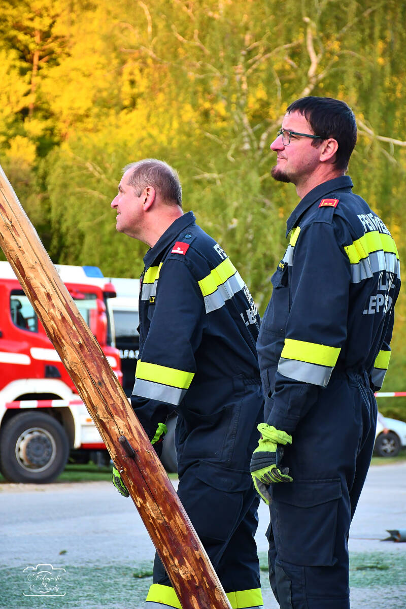 maibaum-158-standard-idji86.jpg