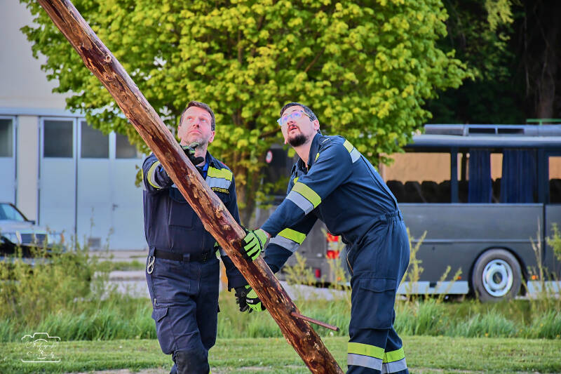 maibaum-160-standard-vvzdor.jpg
