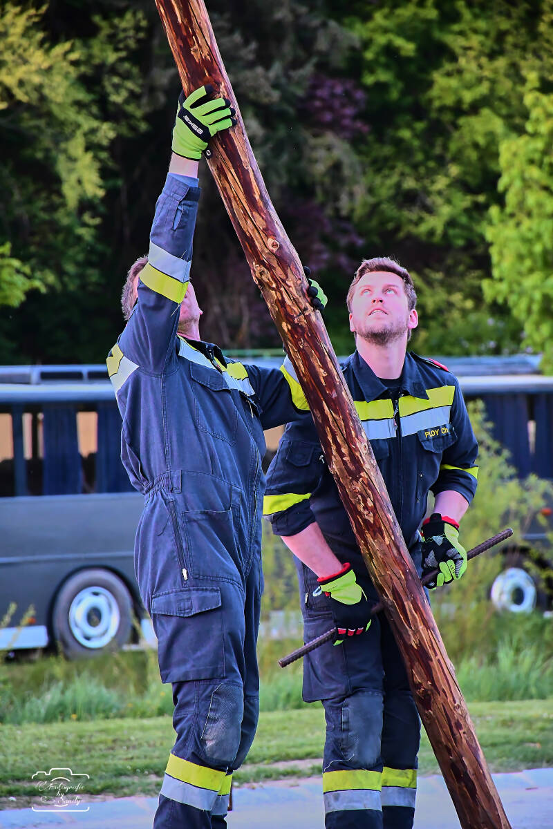 maibaum-161-standard-d475ao.jpg