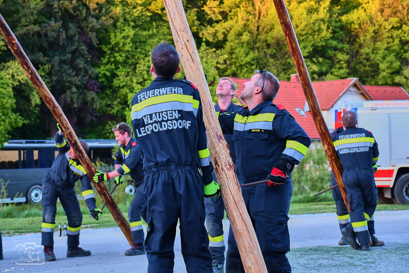 maibaum-162-standard.jpg