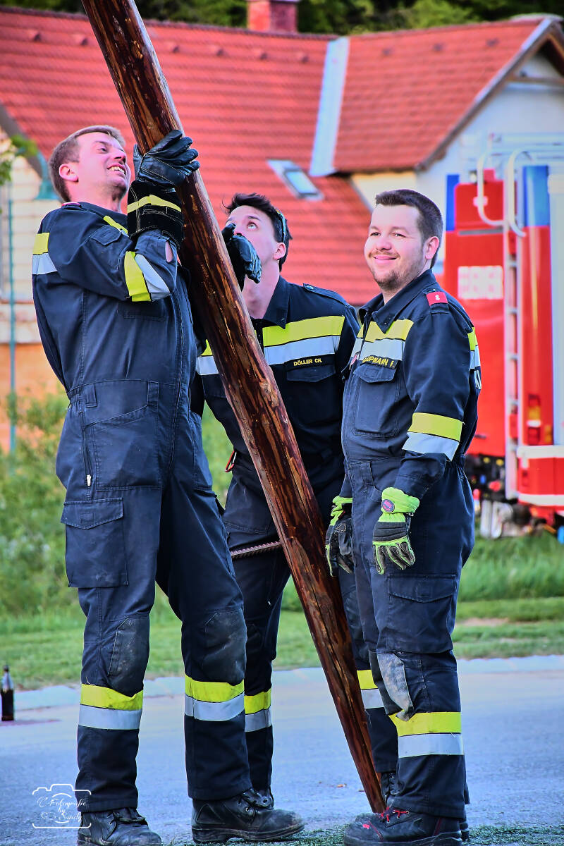 maibaum-165-standard.jpg