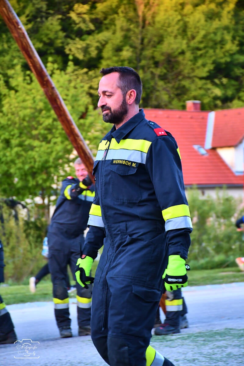 maibaum-166-standard.jpg