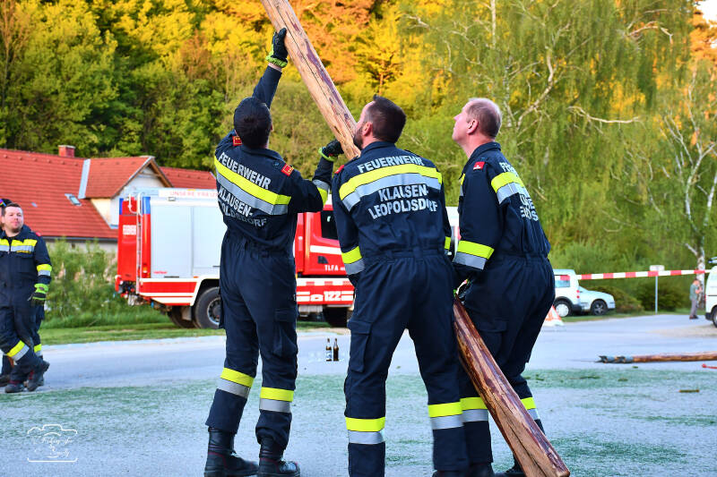 maibaum-167-standard.jpg