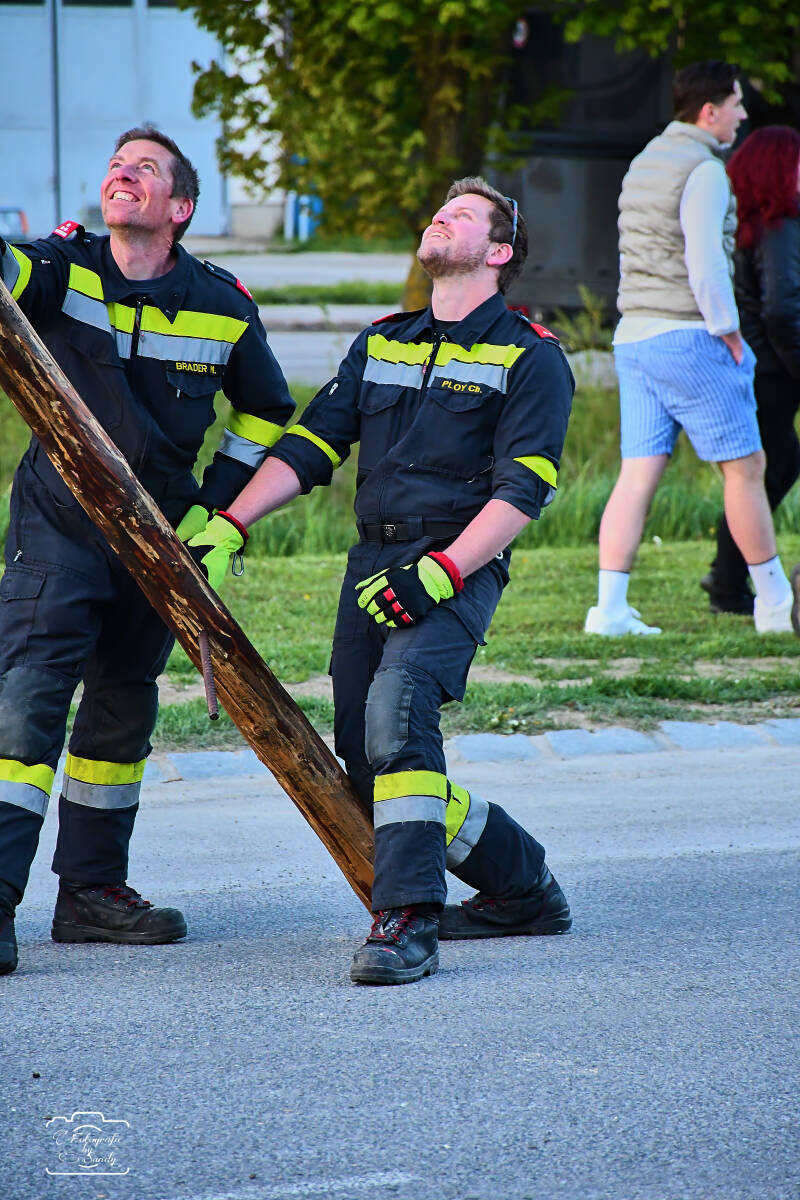 maibaum-171-standard.jpg