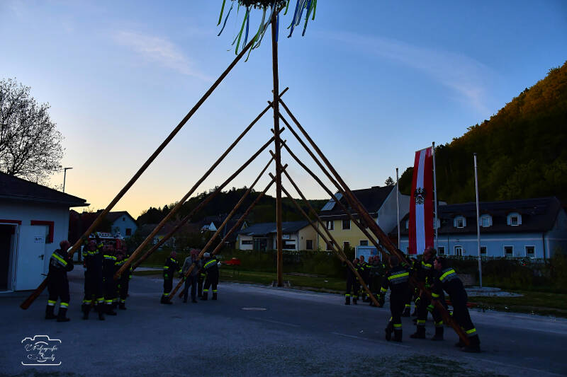 maibaum-172-standard.jpg