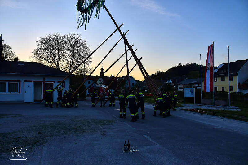 maibaum-173-standard.jpg