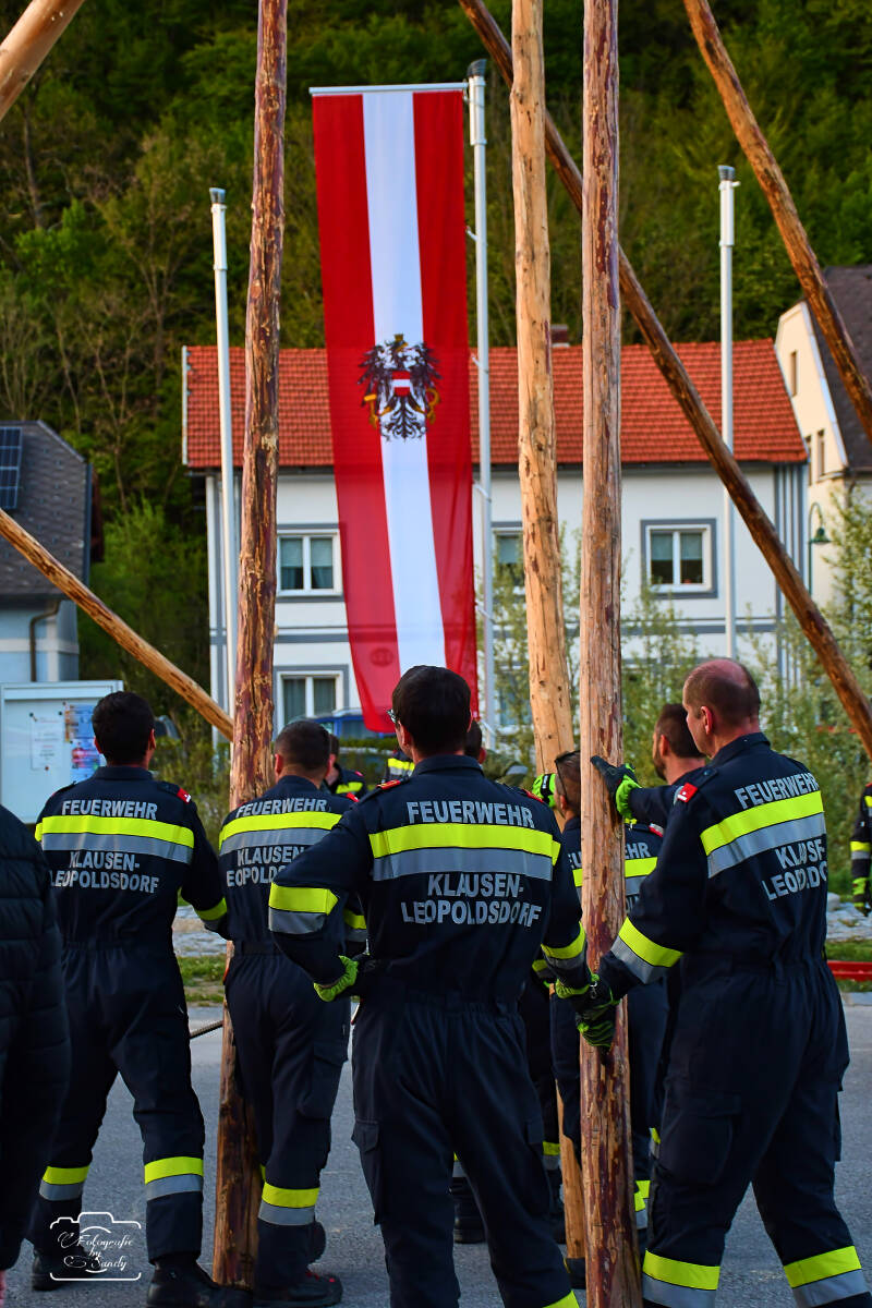 maibaum-175-standard.jpg