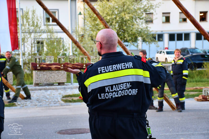 maibaum-176-standard.jpg