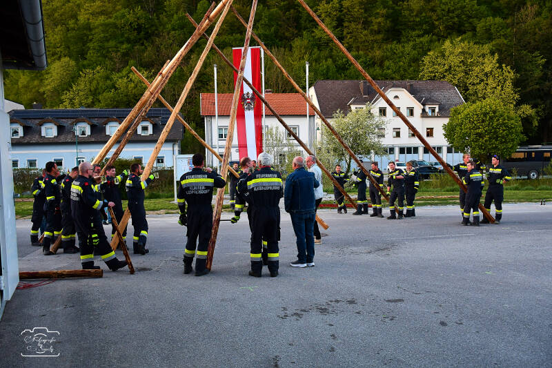 maibaum-178-standard.jpg