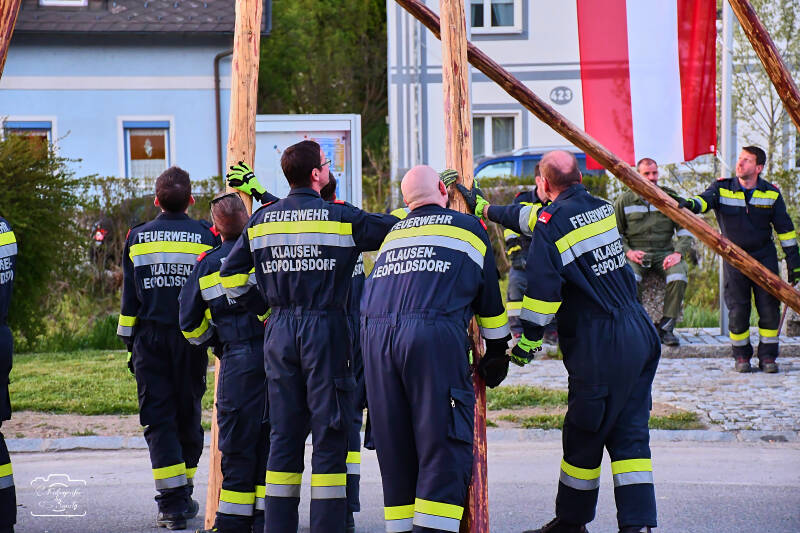maibaum-179-standard.jpg