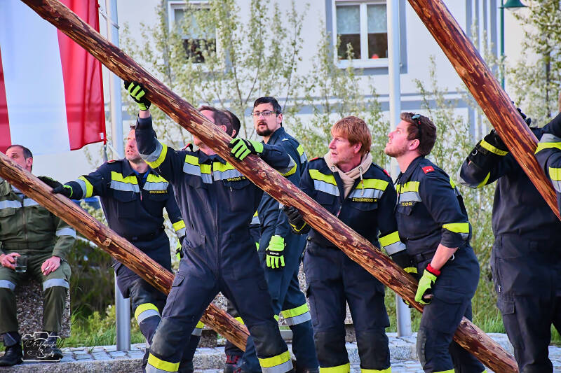 maibaum-180-standard.jpg
