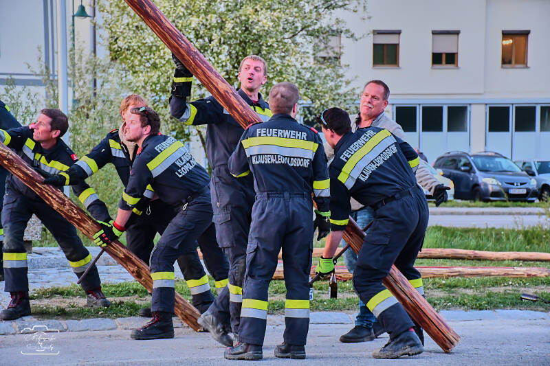 maibaum-182-standard.jpg
