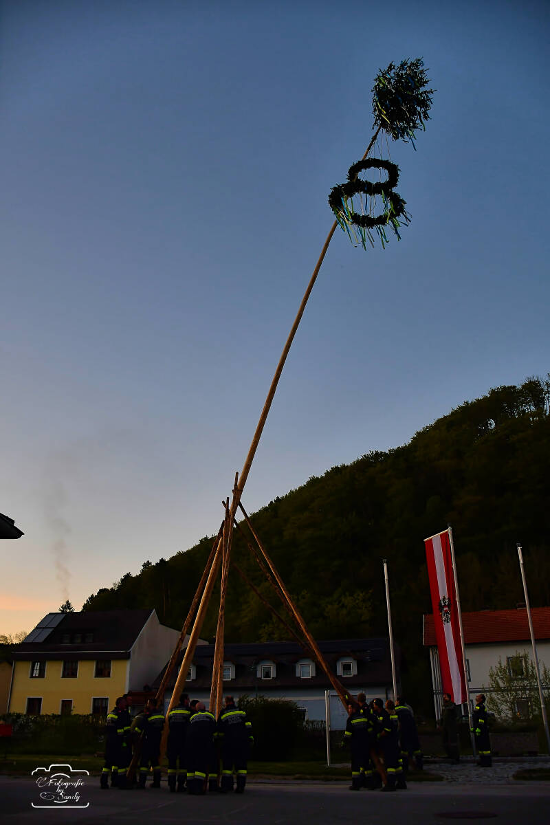 maibaum-186-standard.jpg