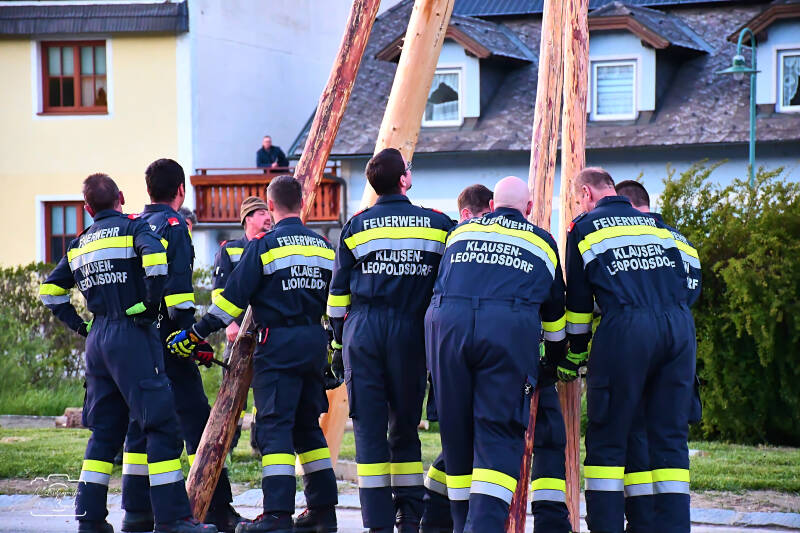 maibaum-187-standard.jpg