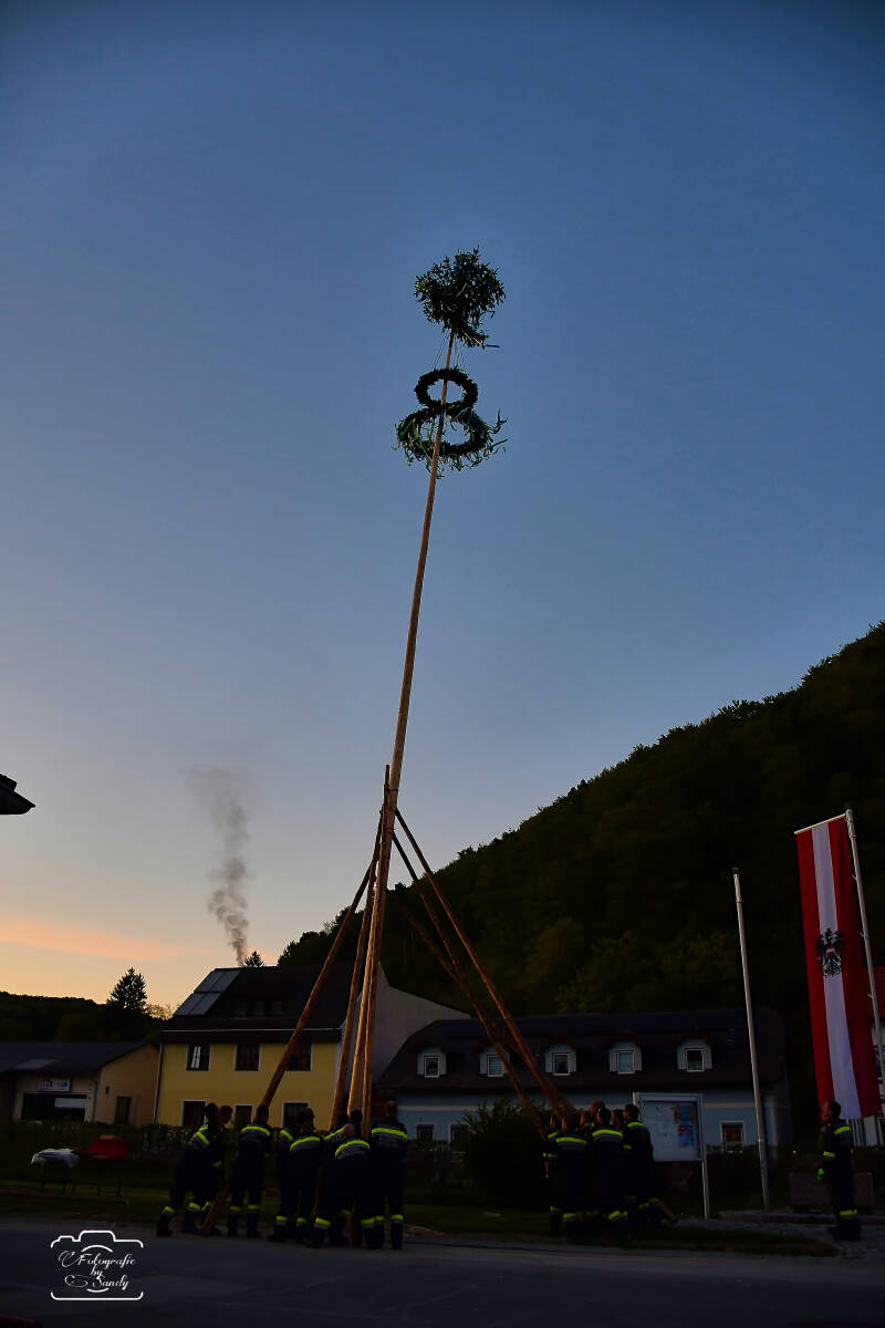 maibaum-191-standard.jpg