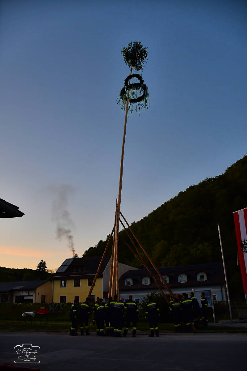 maibaum-192-standard.jpg