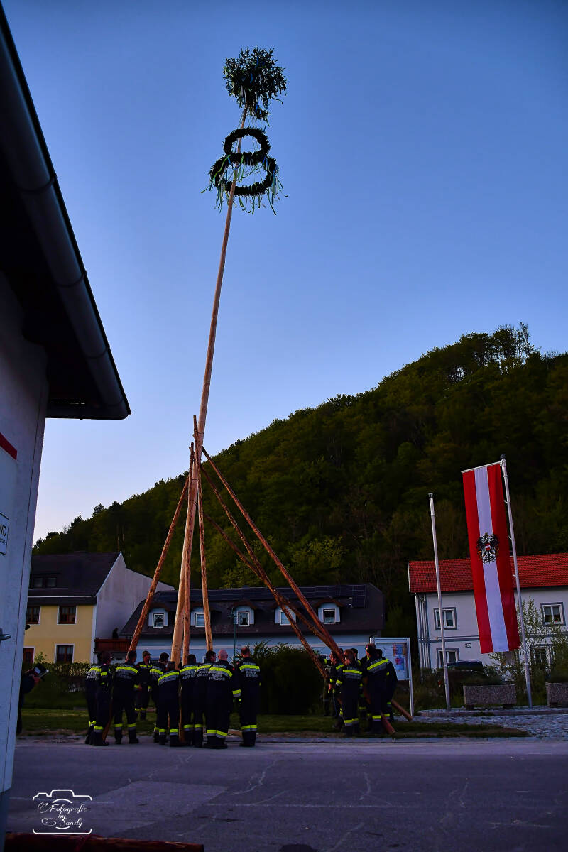 maibaum-193-standard.jpg