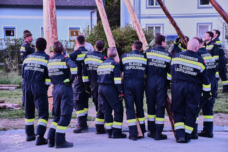 maibaum-194-standard.jpg