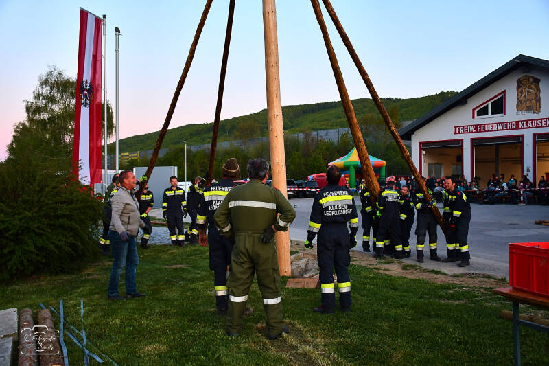 maibaum-195-standard.jpg