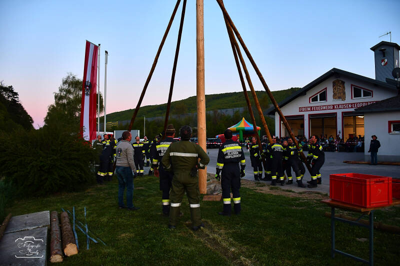 maibaum-196-standard.jpg
