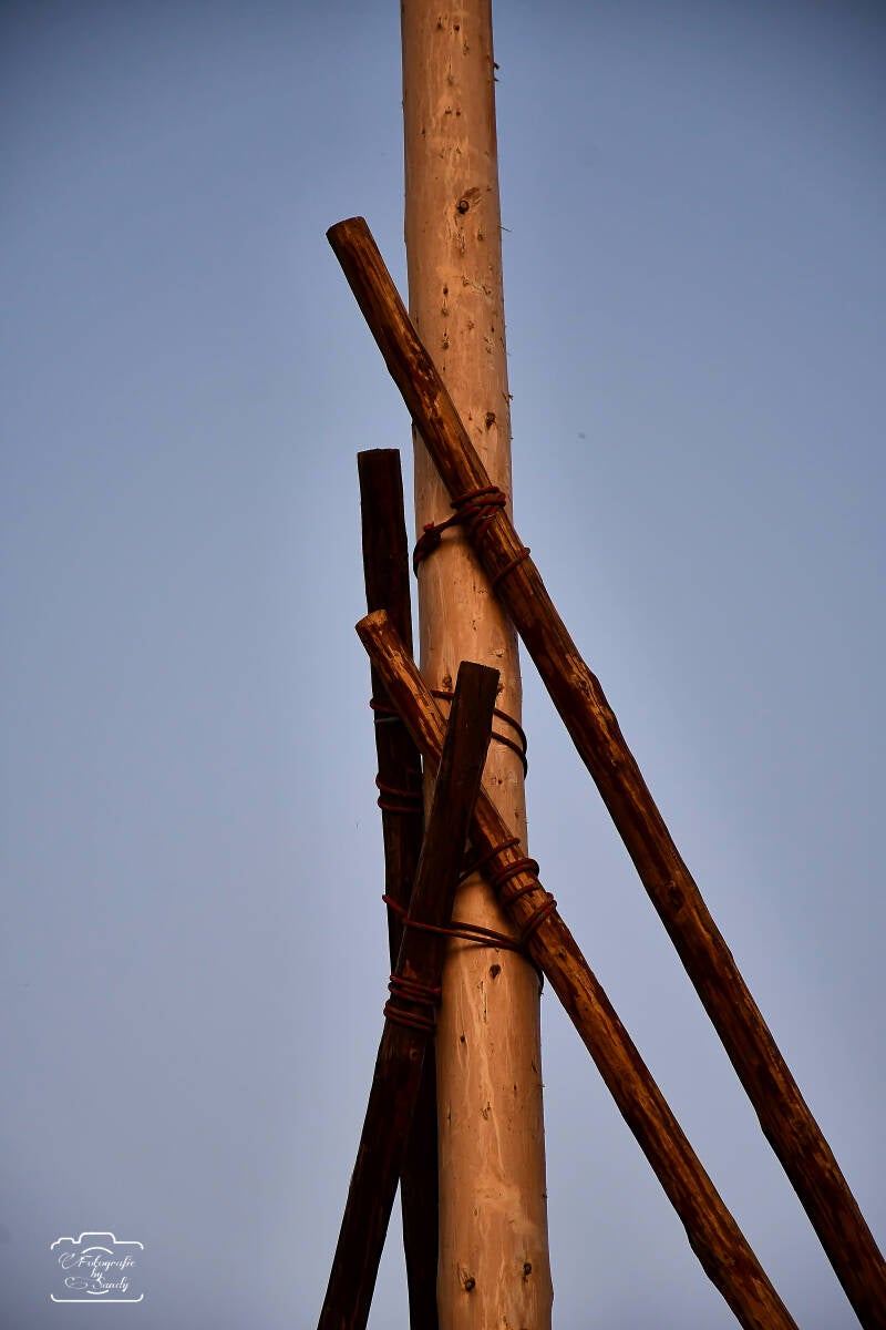 maibaum-197-standard.jpg