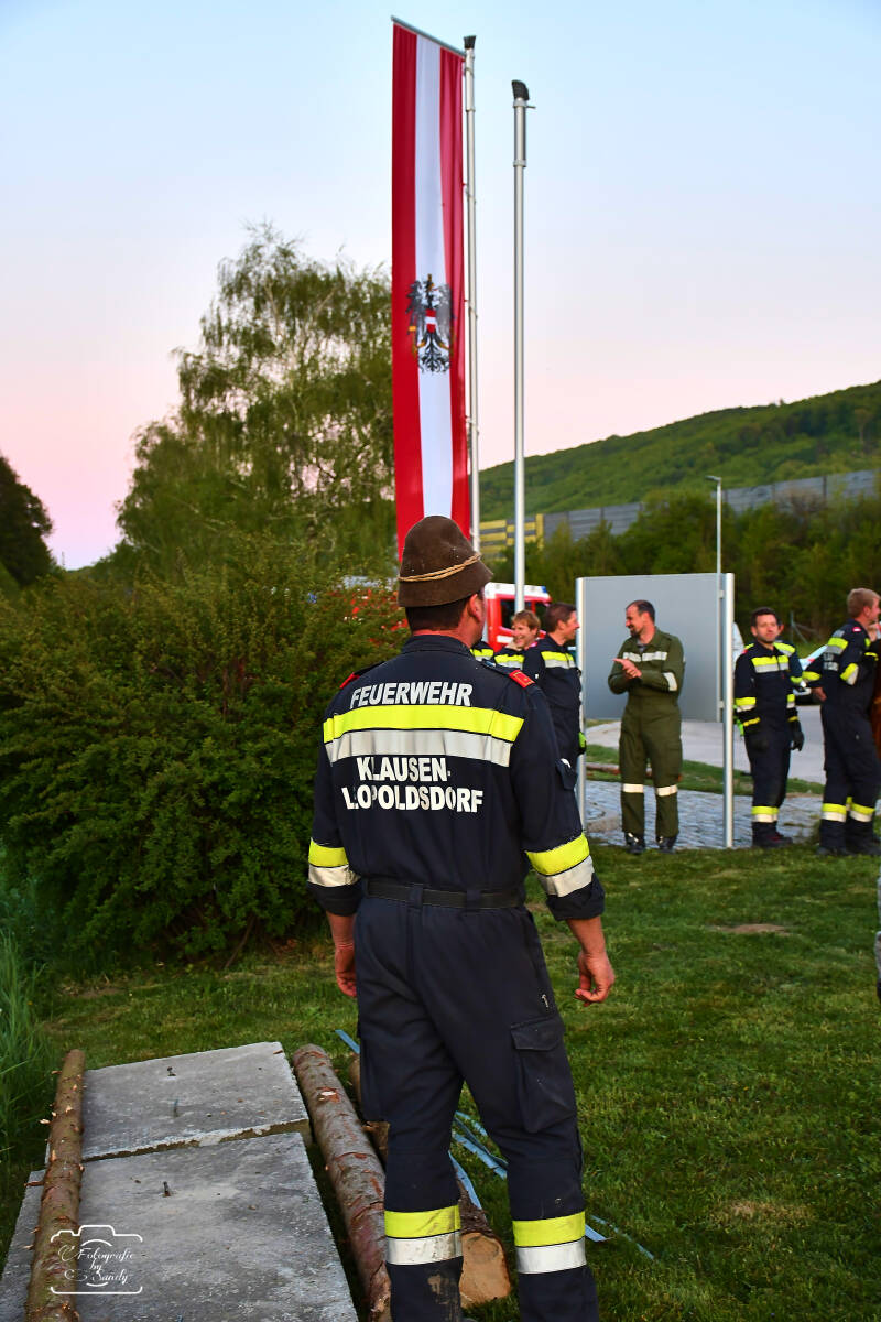 maibaum-200-standard.jpg